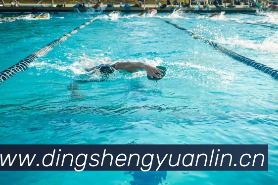 多媒体互动体验