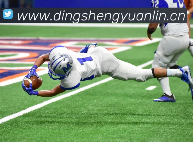 世界杯官方网络平台APP 高清赛事图